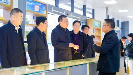 依法服务保障企业更好发展，陇南中院院长万建军赴独一味制药调研指导