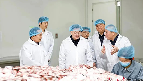 甘肃省委书记胡昌升莅临恒峰g22登录入口健康集团佛仁制药考察调研